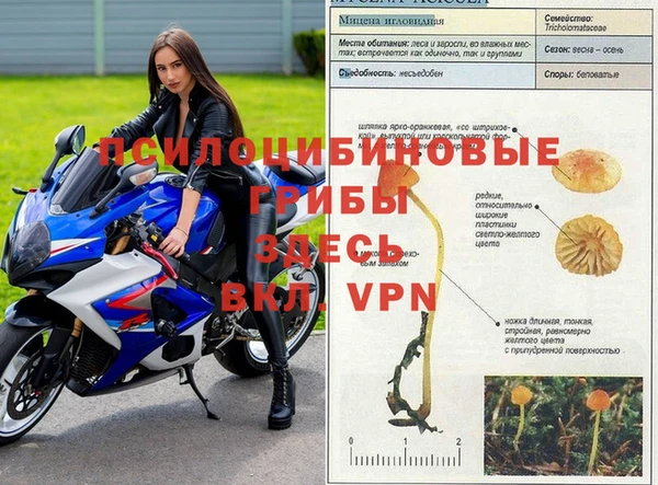 марки nbome Лихославль