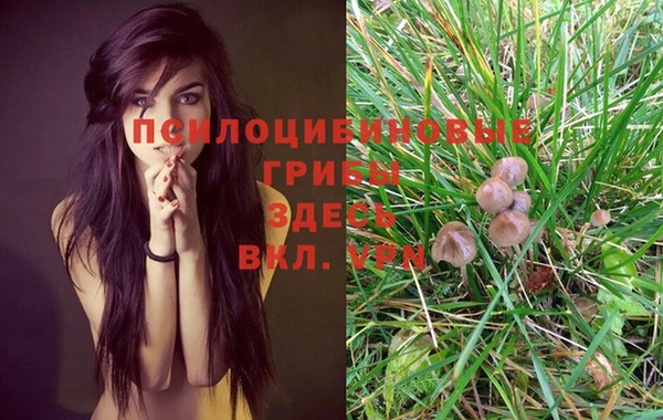марки nbome Лихославль