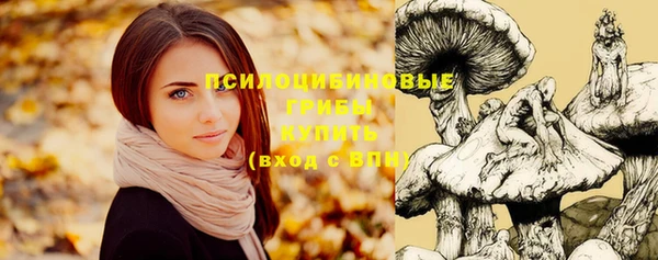 герыч Липки